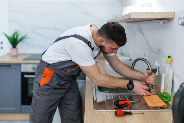 Best Clogged Drain Plumber  in Carlisle, OH